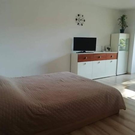 Light One Room Apartment 비사기나스 외부 사진