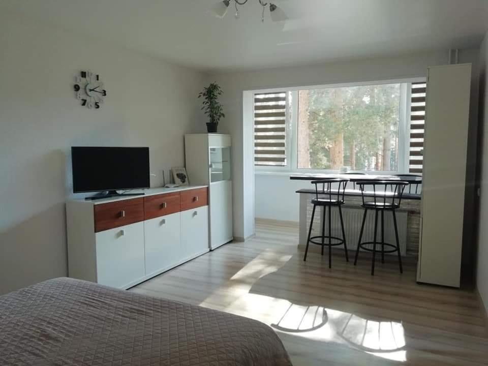 Light One Room Apartment 비사기나스 외부 사진